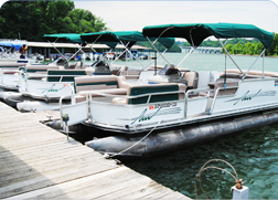 Boat & Board Rental